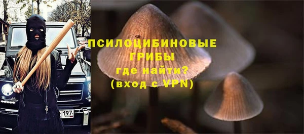 кокс Нея