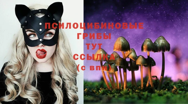 синтетический гашиш Алексин