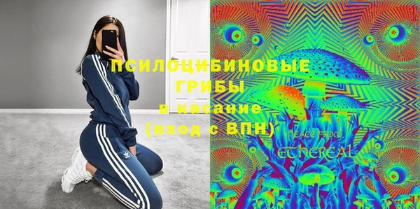 apvp Алексеевка