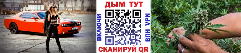 где найти   Ижевск  Шишки марихуана план 